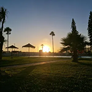  Apartamento Estudio 31